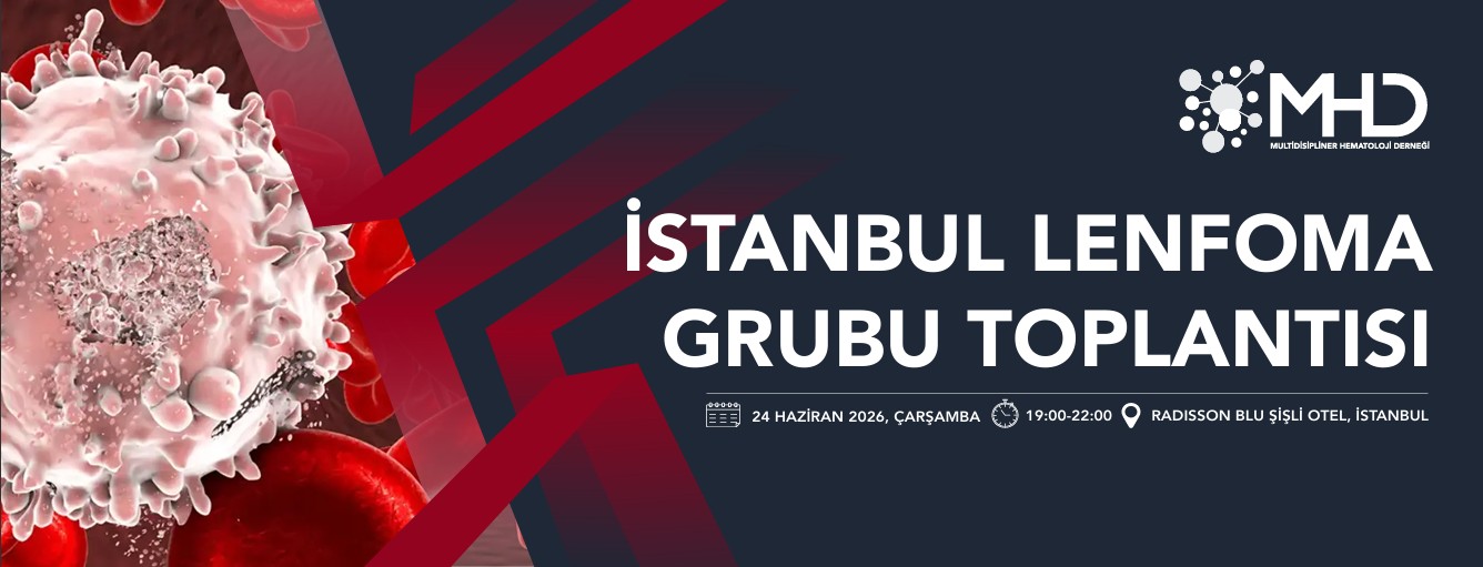 ZIP dosyasını indir
